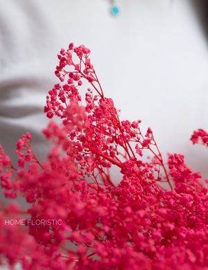 Гіпсофіла стабілізована малинова рожева для букетів, фотозон і композицій