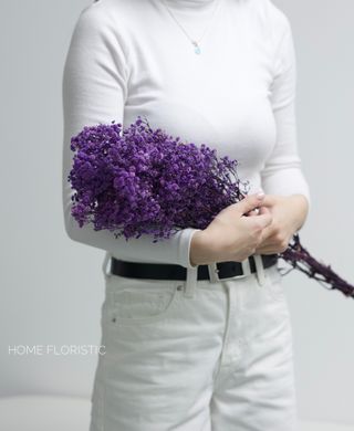 Гіпсофіла стабілізована фіолетова для букетів, фотозон і композицій