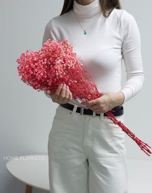 Гіпсофіла стабілізована рожева для букетів, фотозон і композицій